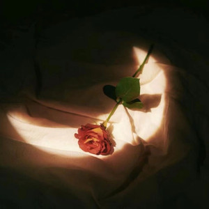 少妇性BBB搡BBB爽爽爽欧美
