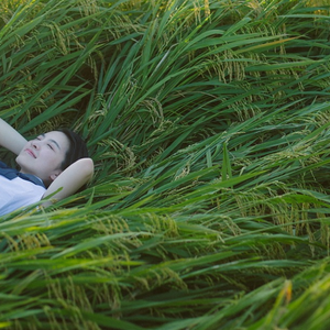 少妇性BBB搡BBB爽爽爽欧美
